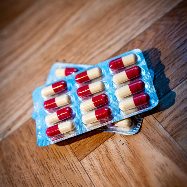Amoxicilline Eg Prix