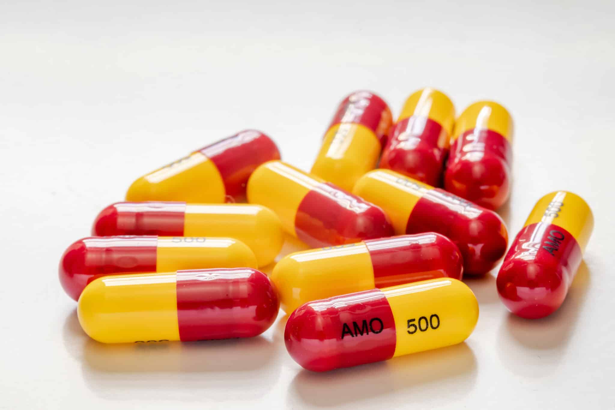 Amoxicilline 500 Prix