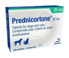Prednisolone 20 mg 3 le matin