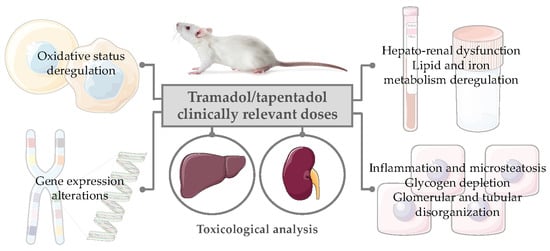 Tapentadol france acheter