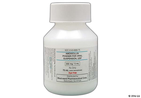Amoxicillin prix