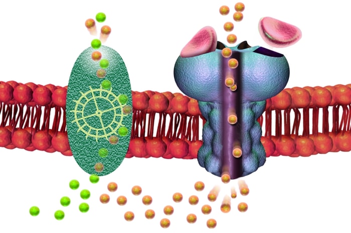 acheter ativan en ligne