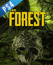 Acheter forzest en ligne